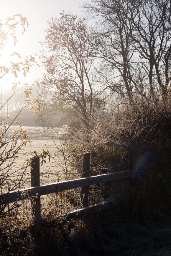 Winter scene